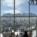 로카와 델피노2 이미지