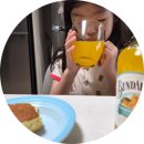 자연과 발효 | [분다버그 데코폰 만다린] 상큼한 호주 자연발효 카페음료 솔직 후기
