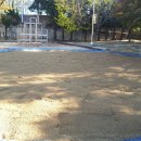 삼덕초등학교병설유치원 이미지