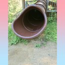 푸른숲마트