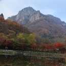 백양사 - 양천구 은행정로20길 5 | 백양사