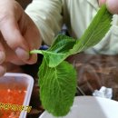 대포네멸치칼국수 | 충남 당진 대포네멸치국수에서 멸치국수 먹었어요~~^^