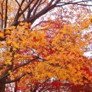 김인수농장 이미지