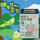 471 | 아이와 영암곤충박물관 다녀온 후기 + 메뚜기잡기 체험까지🦗