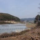 안흥농장 이미지