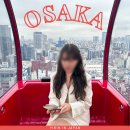 한신성인게임장 | 오사카 우메다 헵파이브 가는법 놀거리 추천 관람차 타기