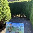 가족과 함께하는 문화체험(5월) | 제주 온 가족이 함께한 미로 여행기, 메이즈랜드 미로공원 서천꽃밭 생생한 후기