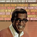Stranger in Paradise - Sammy Davis, Jr.- 이미지