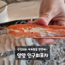 인구회포차