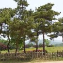 연천 고인돌공원 이미지