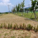 단장체육공원 이미지