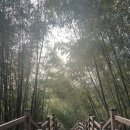 속초사잇길 제5길 이미지