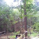 신영주유치원 이미지