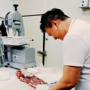고기와 삼촌정육 네이버블로그