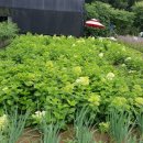 주암동농장 이미지