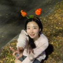 호두미디어 | 천안여행 가볼만한곳 천안시티투어 뚜쥬르 빵지순례 호두과자 체험