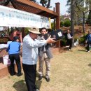 태백초등학교 이미지