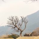 임꺽정 "취화선" "태극기 휘날리며ㅡ아산ㅡ외암민속마을 이미지