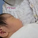 없  음 | 제왕절개객개 후기 5일차