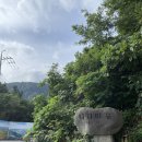 북면115 | 울릉도 여행기 7일차(25.09.19)