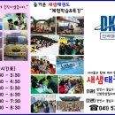 새샘태권도장 이미지