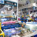 수원-1336 이미지