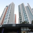 강남-276 이미지