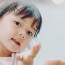 애플트리 이미지