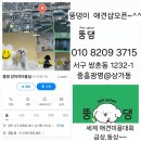 뚱댕 네이버블로그