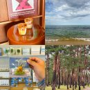 홍길동 농장 | 설날 연휴 강원도 강릉 당일치기 여행 명소 툇마루 포함 5곳