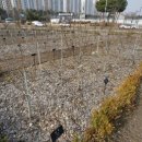 무궁화비료 이미지