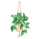 [8월 재능나눔] 식물감정카드와 함께하는 셀프코칭 이미지