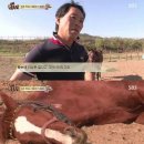 진강 이미지