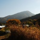 외방3리 Daum카페