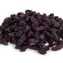 서교동물병원 이미지