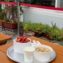 부산떡볶이 | 부산 떡볶이 맛집..?! 빨간떡볶이, 아침 웨이팅 후기