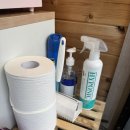 댕댕이루 | 가평 애견펜션 추천 : 댕댕이 애견글램핑앤펜션 내돈내산 후기