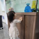 강원특별자치도 영월군 영월군종합사회복지관 이미지