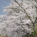 구례의길(섬진강길) 이미지