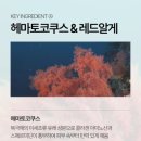 시너지코어
