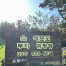 석모도부자캠핑장 | 강화도 애견동반 석모도부자캠핑장 D구역 8번 첫 방문 후기