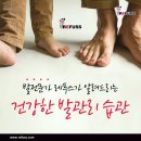 레푸스 다산
