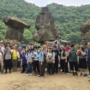 밀알천사 이미지