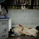 신목아파트 뒤 이미지