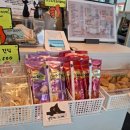 츄냥이 하우스 이미지