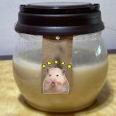 망원양조 | 망원동 데이트 코스 추천 망원양조 쌀막걸리만들기체험, 커플이라면 꼭 해볼 이색 원데이 후기
