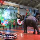 점보빌리지 이미지