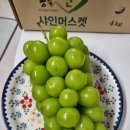 이샤인 | 내돈내산 후렌치파이 먹방후기