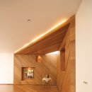 우드 너 이미지