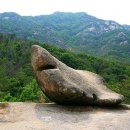천태산매점